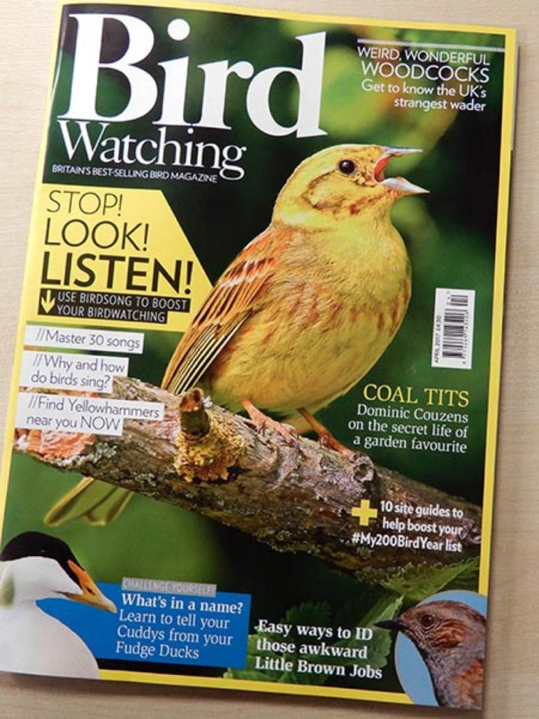Andy Sands Wildlife photographer Yellowhammer - bird watching cover