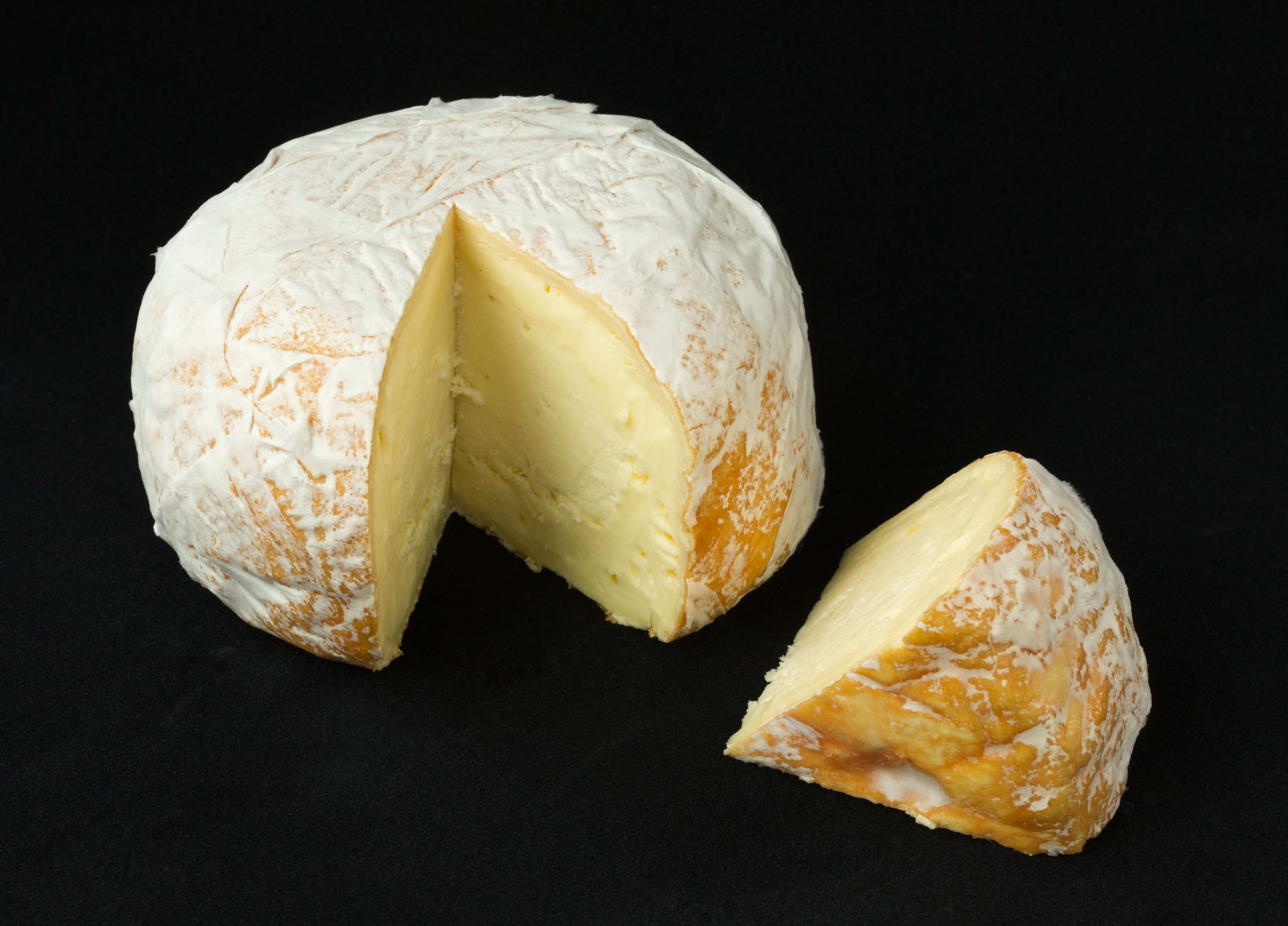 Cheese