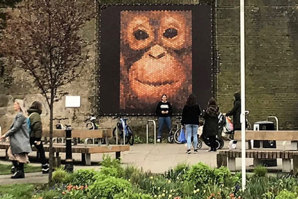 w4th-plinth-penny-orangutan-home