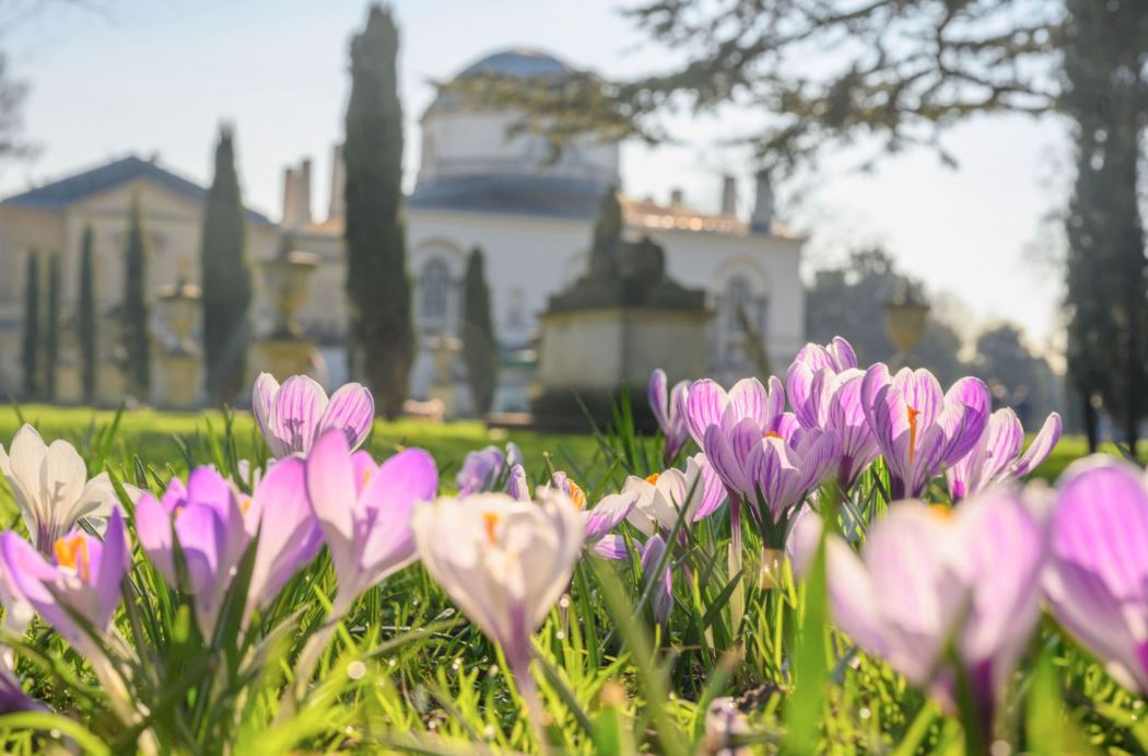 Spring bulbs at Chiswick House