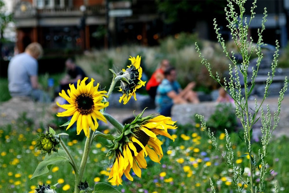 Photograph of the day by Barbara Chandler – @sunnygran