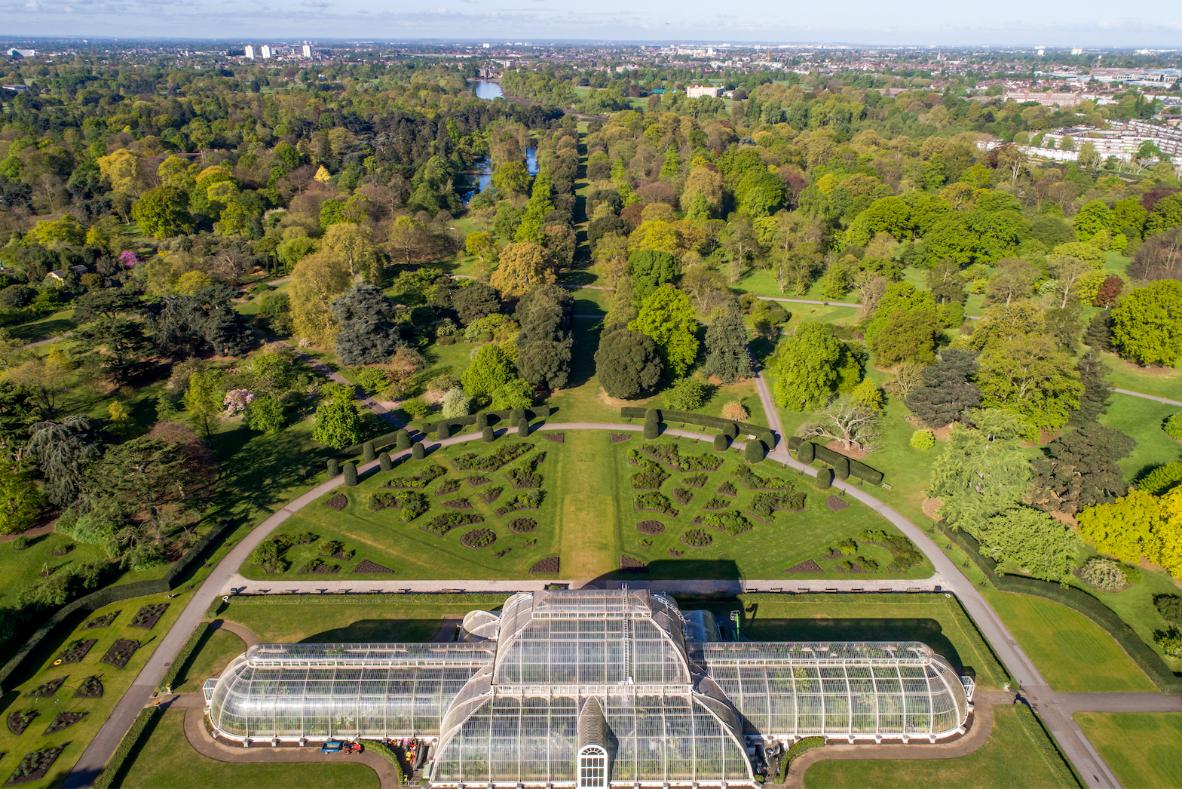 Aerial photo of Kew Gardens (c) RBG Kew_web