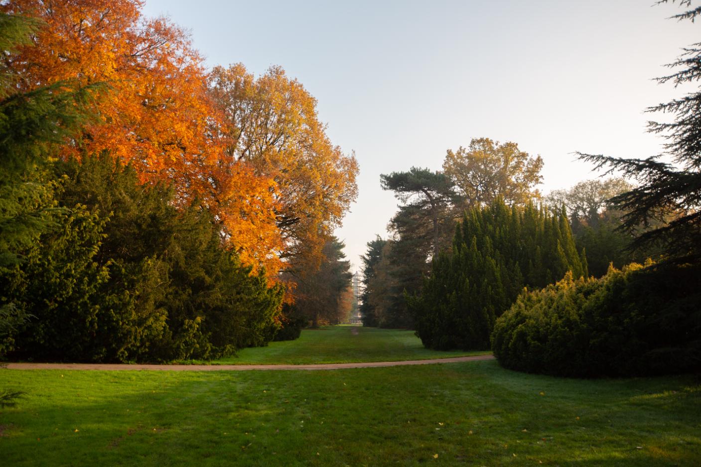 Cedar Vista_web