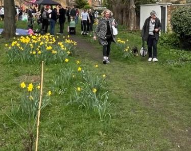 Beaconsfield Gardens features image