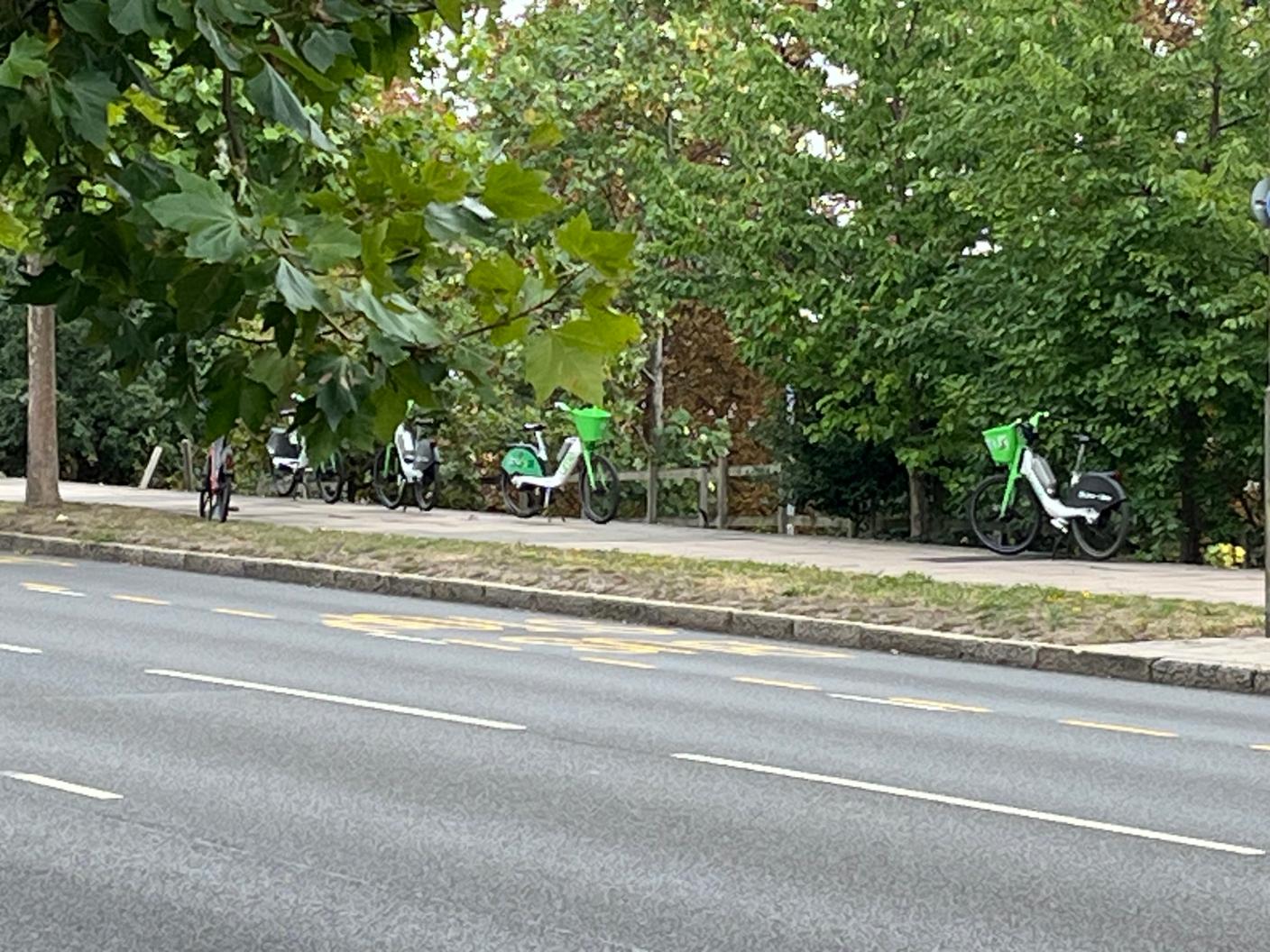 Lime bikes at Chsiwick Bridge 2_web
