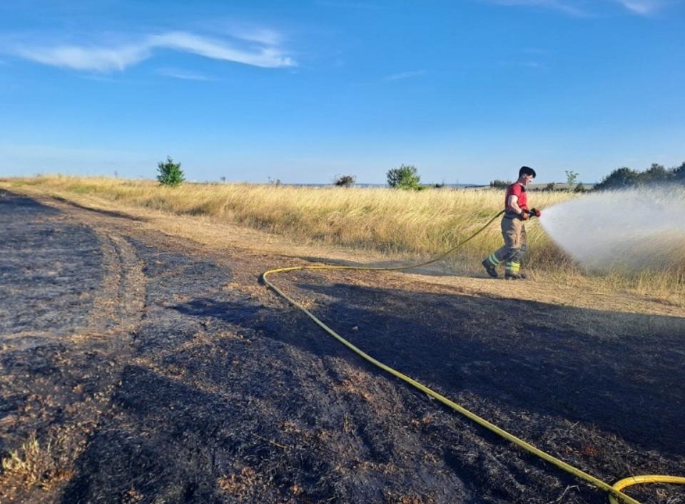 London Fire Brigade Fireman hoses scorched scrubland_web