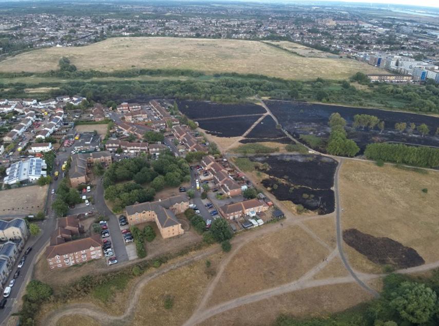 London Fire Brigade scorched scrubland_web