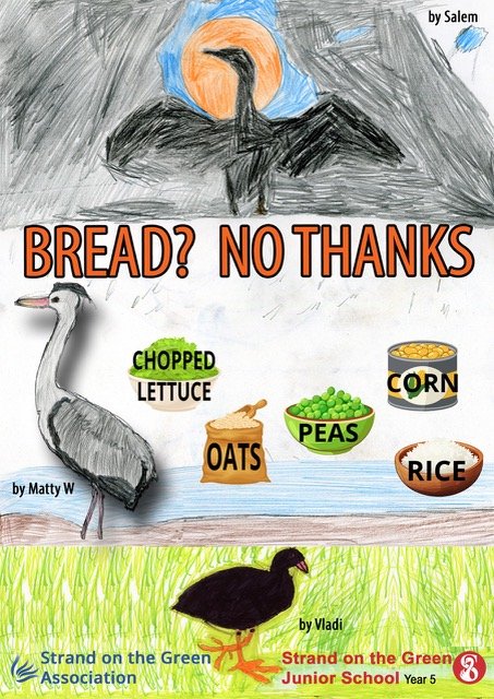 bread 2 cormorant protrait