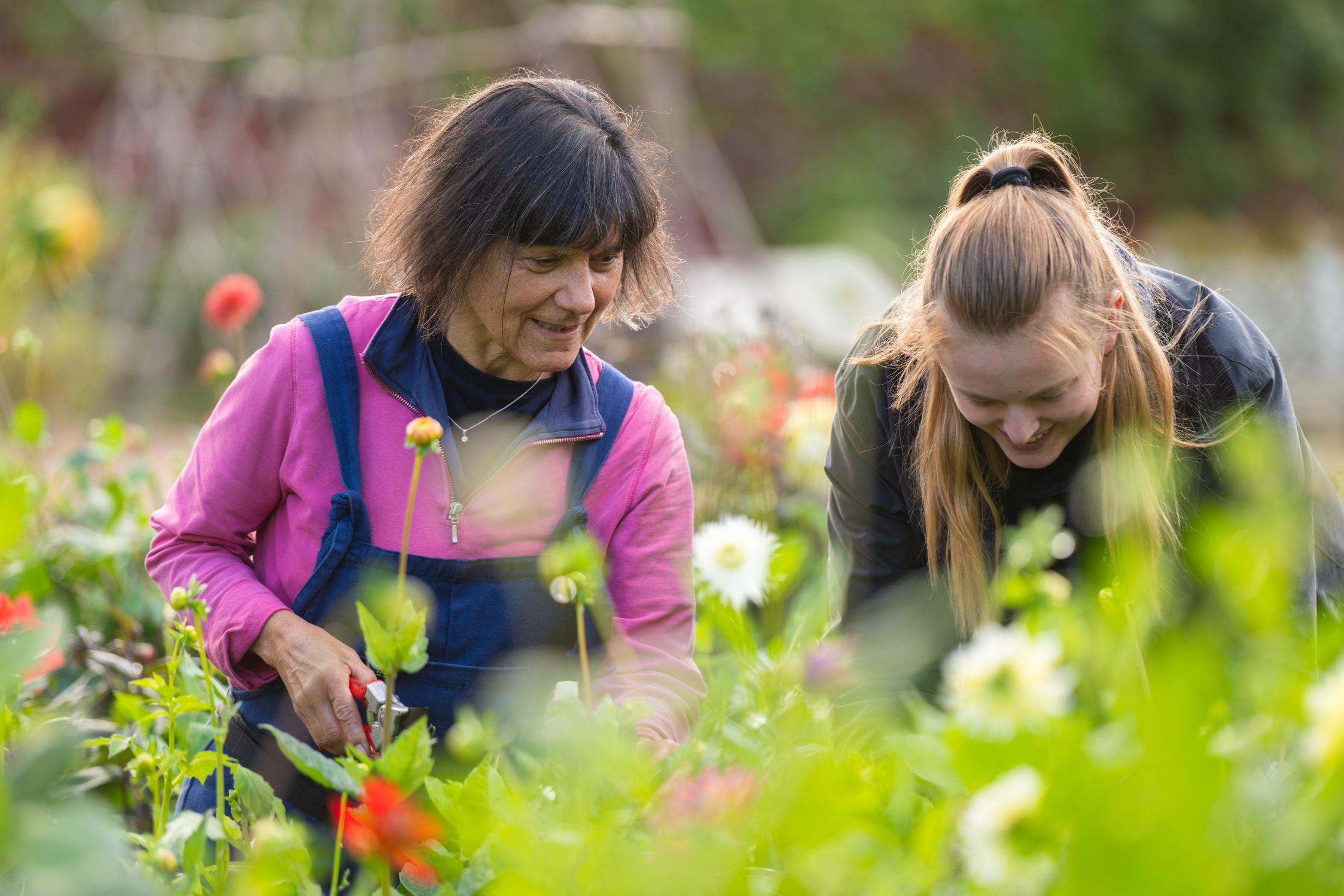 Volunteers in the Kitchen Garden_Chiswick House & Gardens Trust_Andre Pattenden.jpg