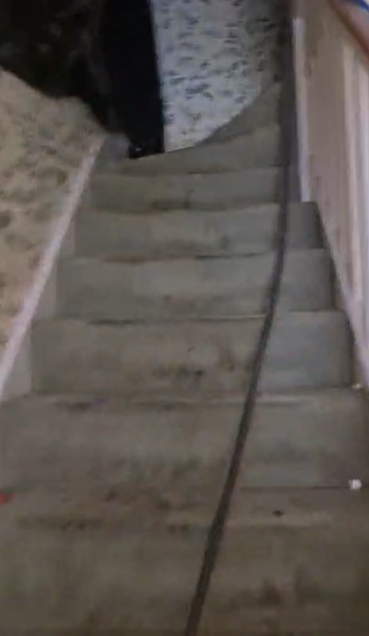 Weed farm 4 cables up the stairs