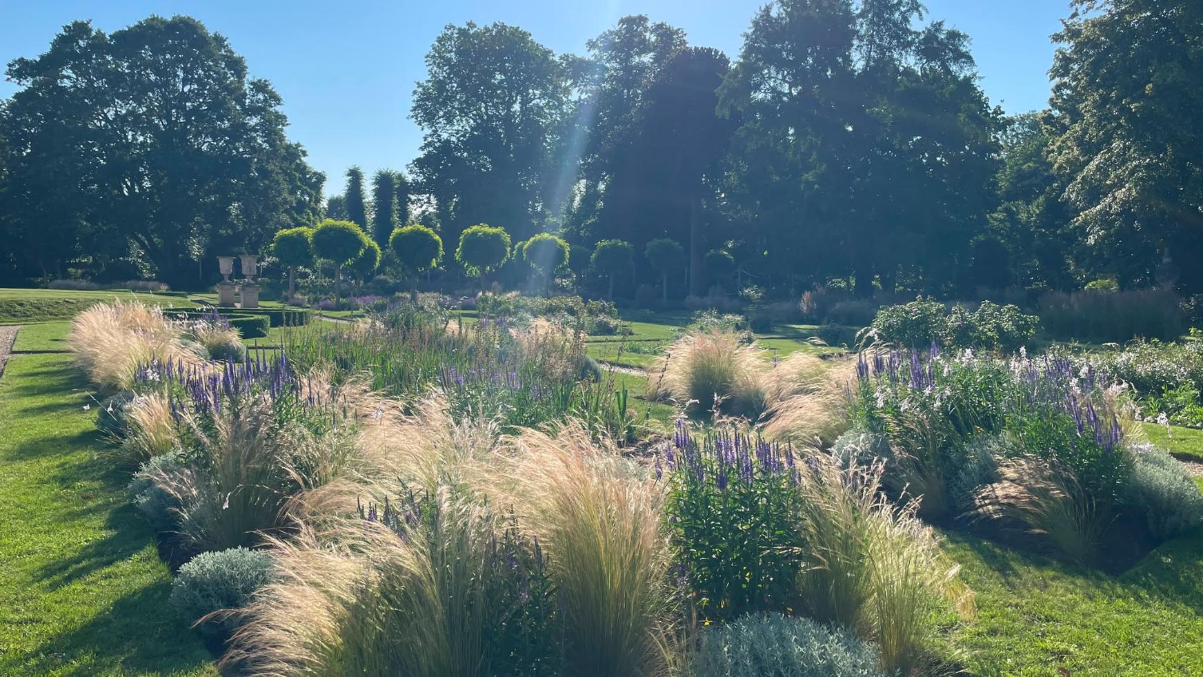 Italian Garden. Photo by Freya Willetts.