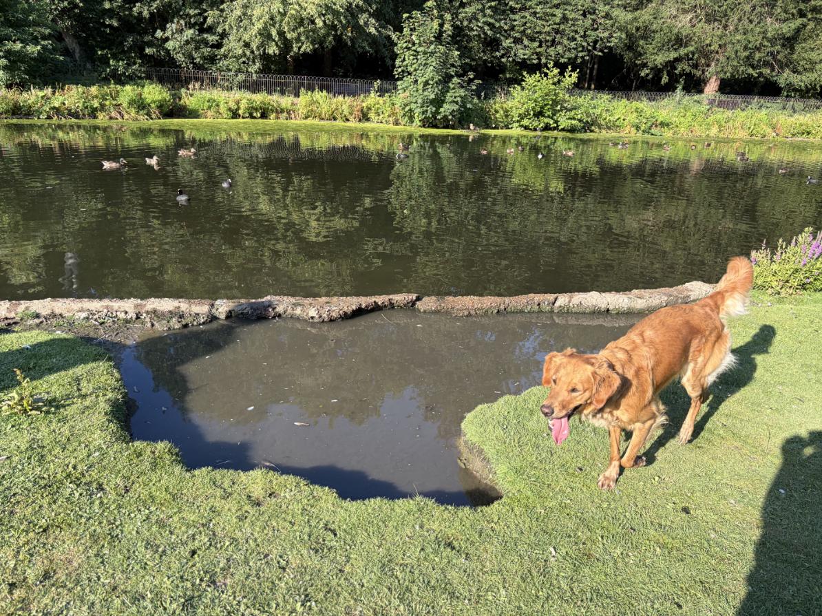 After the cheeky dip (2)