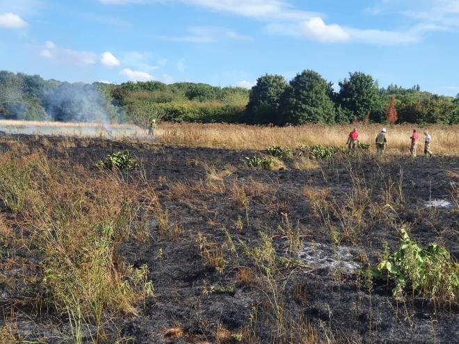 Grass fire London Fire Brigade 1_web