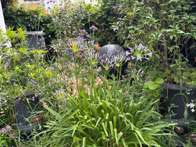 Grove Park garden competition - wildlife winner 1