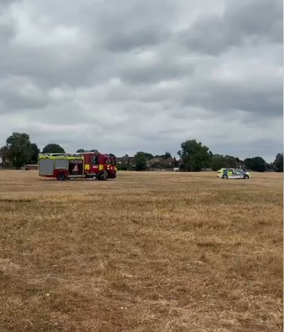 Gunnersbury Park grass fire 3