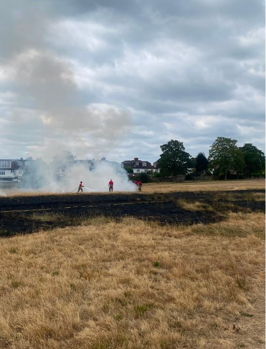 Gunnersbury grass fire 2