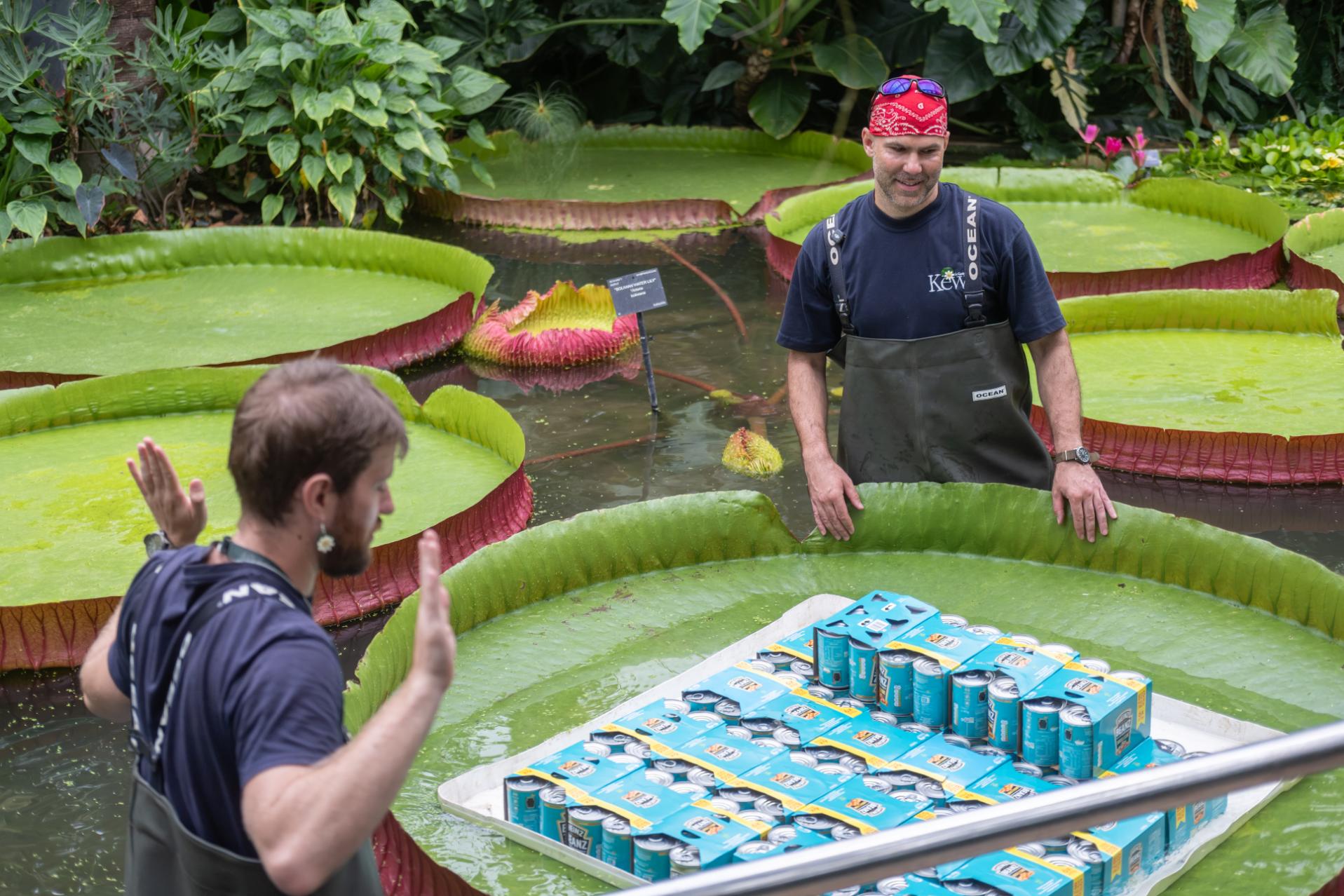 03. Botanical horticulturist Aidan Pike (L) and Martin Silnevs (R) - CREDIT - Sebastian Kettley © RBG Kew (1)