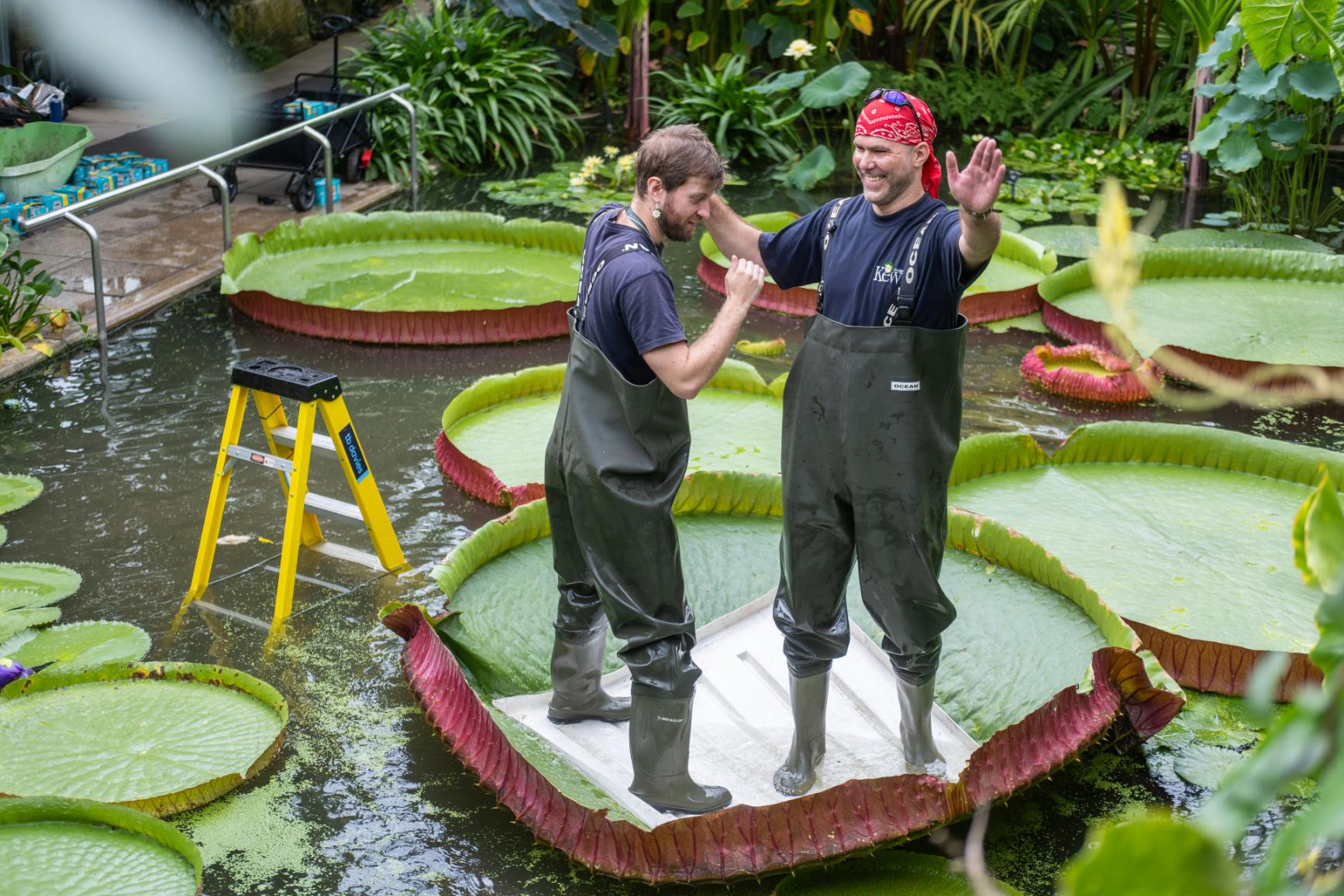 11. Botanical horticulturist Aidan Pike (L) and Martin Silnevs (R) - CREDIT - Sebastian Kettley © RBG Kew (1)