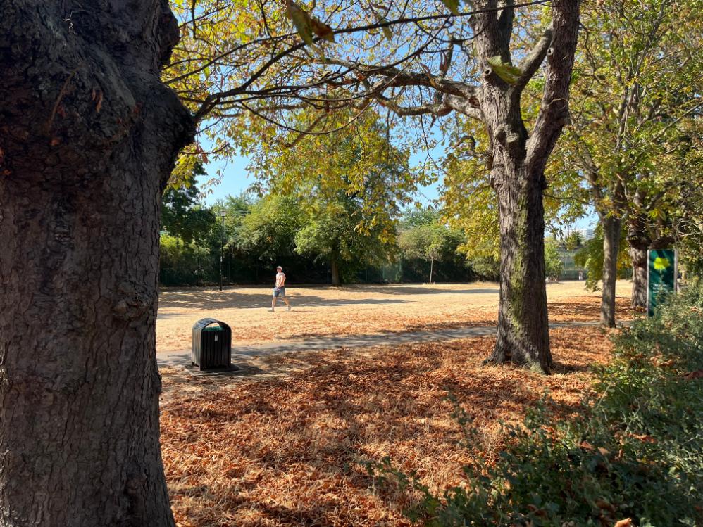Burnt park 2_web
