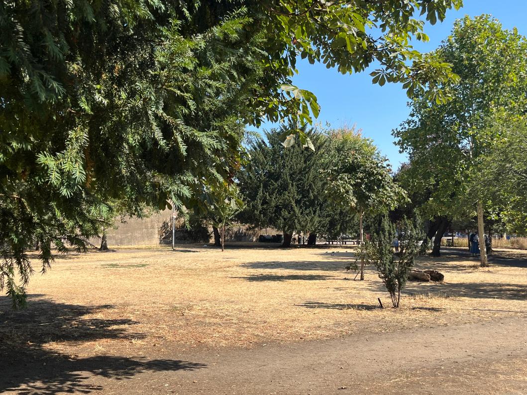Burnt park 3_web